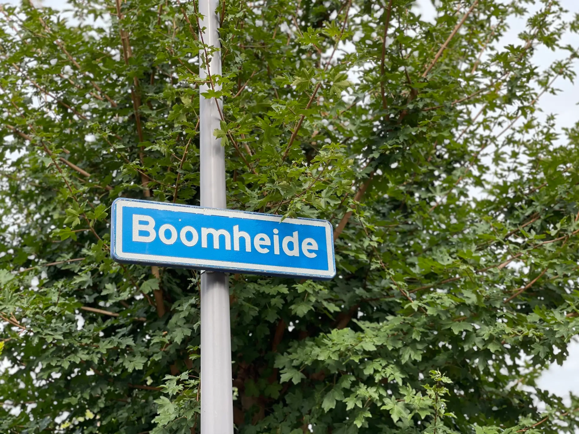 Boomheide 31 Rotterdam HUIZEN010 makelaardij